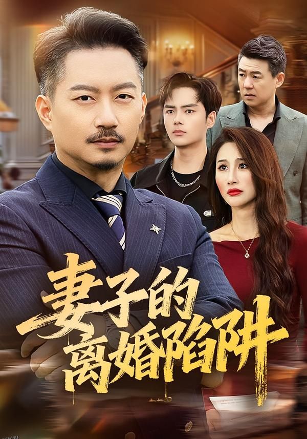 妻子的离婚陷阱 海报