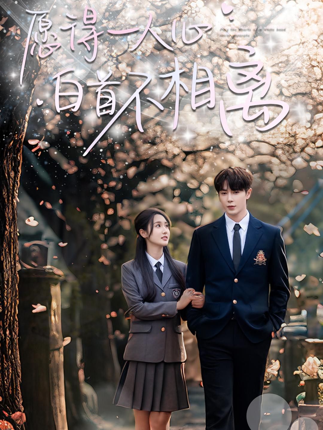 愿得一人心白首不相离 海报