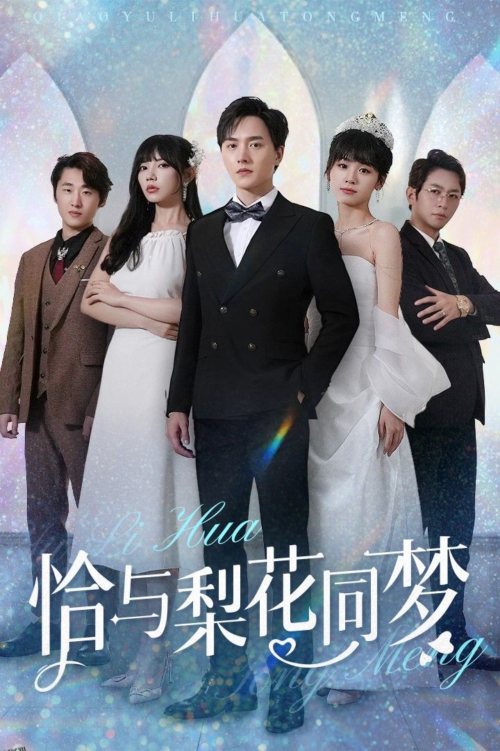 恰与梨花同梦 海报