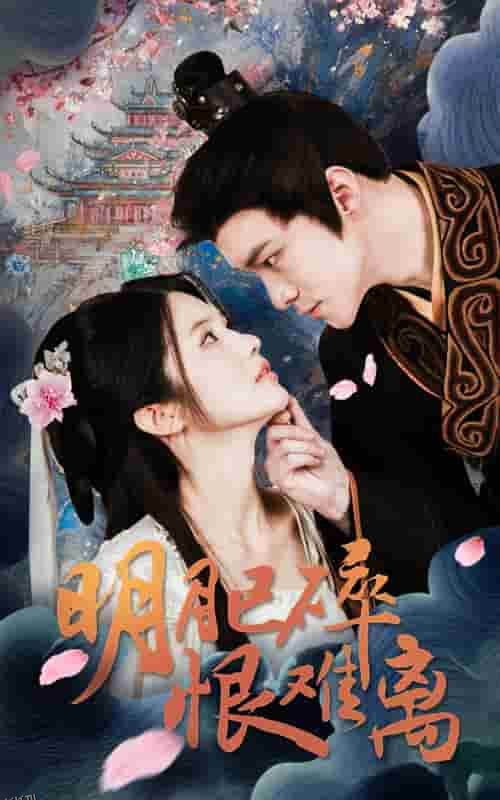 明月已碎恨难离 海报