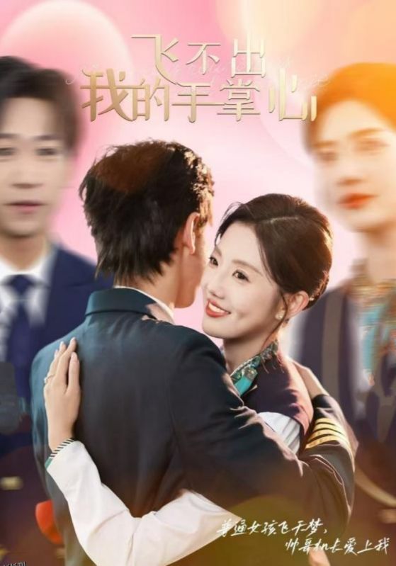 飞不出我的手掌心 海报
