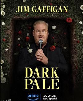 吉姆·加菲根：深灰 海报