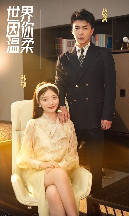 世界因你温柔 海报