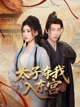 太子夺我入东宫 海报
