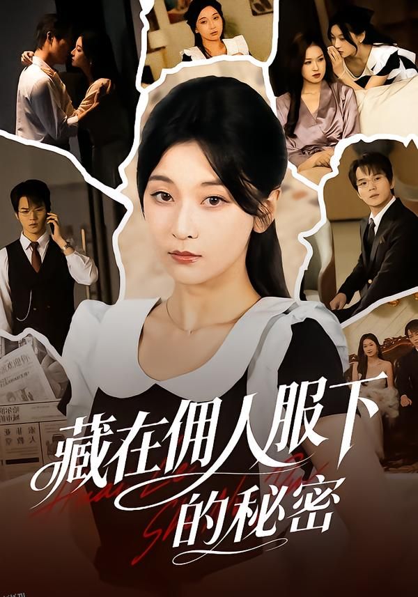 藏在佣人服下的秘密 海报