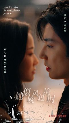 她似晚风过境时 海报