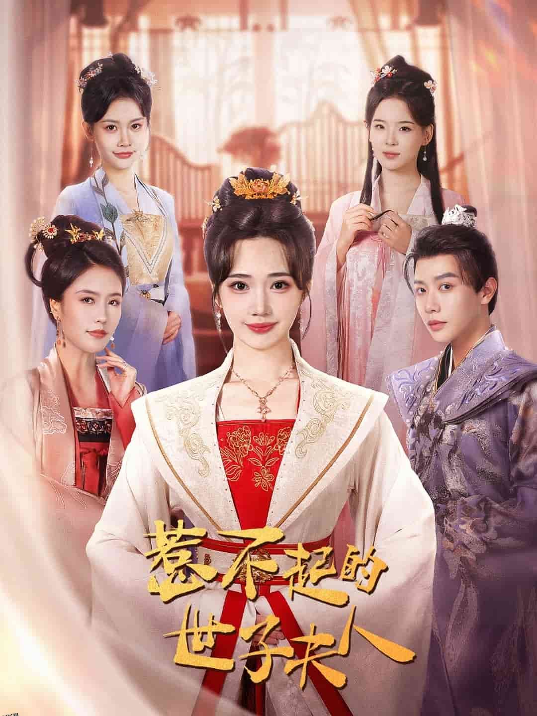 惹不起的世子夫人 高清海报