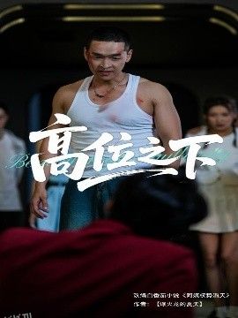 高位之下 海报