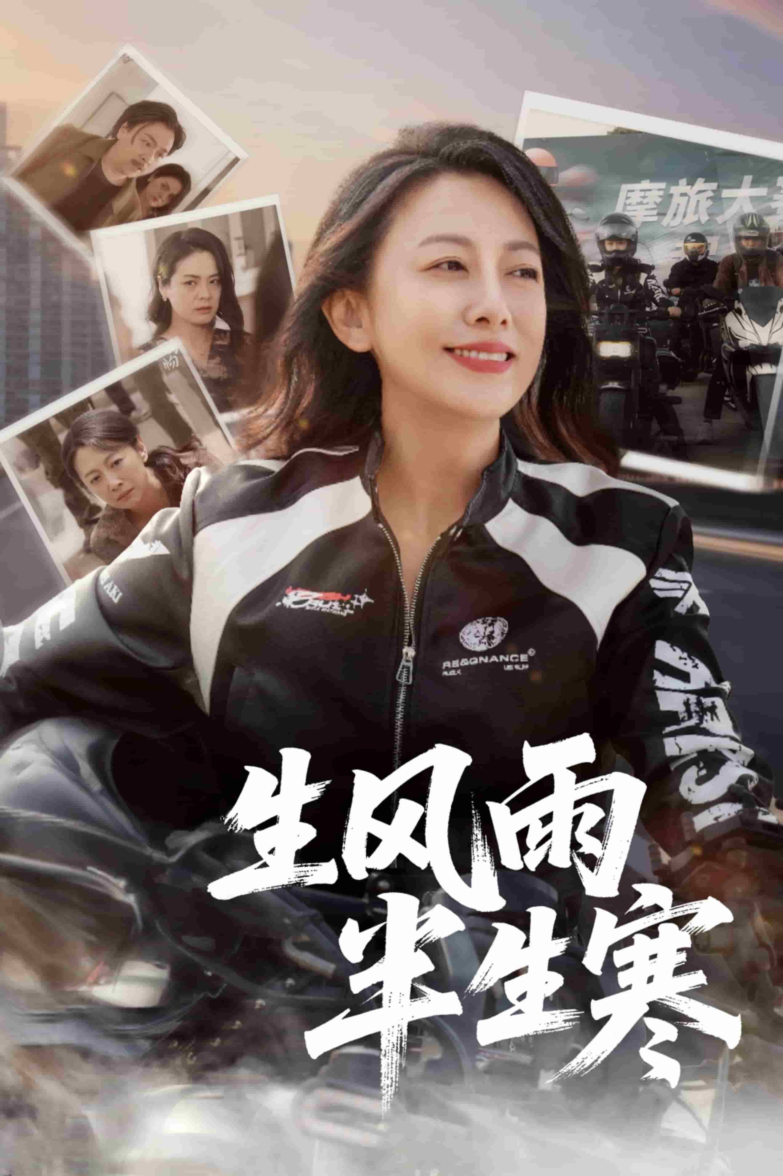 半生风雨半生寒 海报