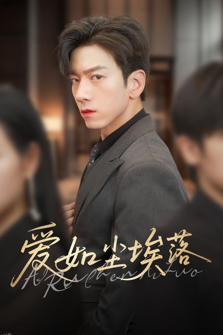 爱如尘埃落 海报