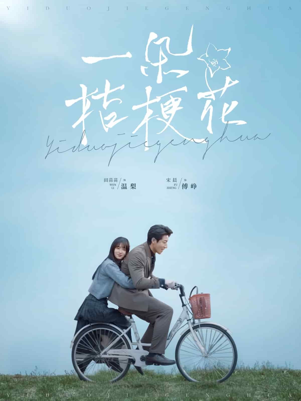 一朵桔梗花 海报