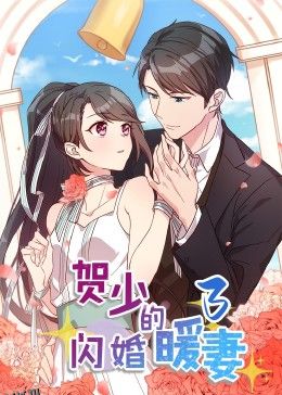 贺少的闪婚暖妻·动态漫第三季 海报