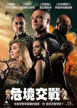 危境交战 海报