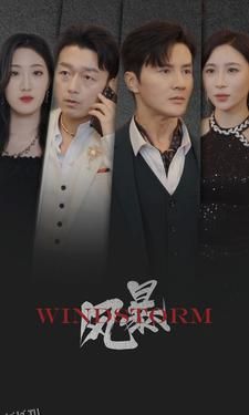 风暴 短剧版 海报