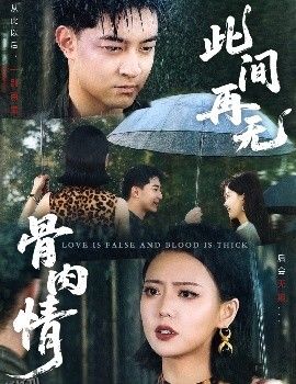 此间再无骨肉情 海报