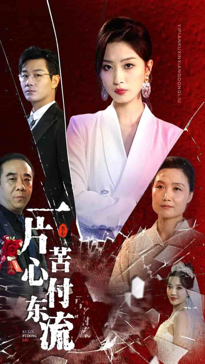 一片苦心付东流 海报