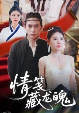 情笺藏龙魄 海报