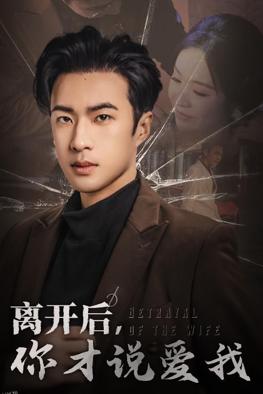 心如枯木难逢春 海报