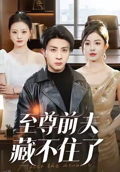 至尊前夫藏不住了 海报