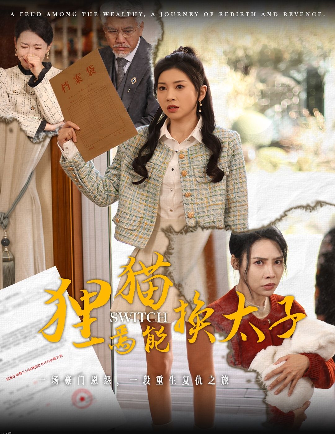 狸猫焉能换太子 高清海报