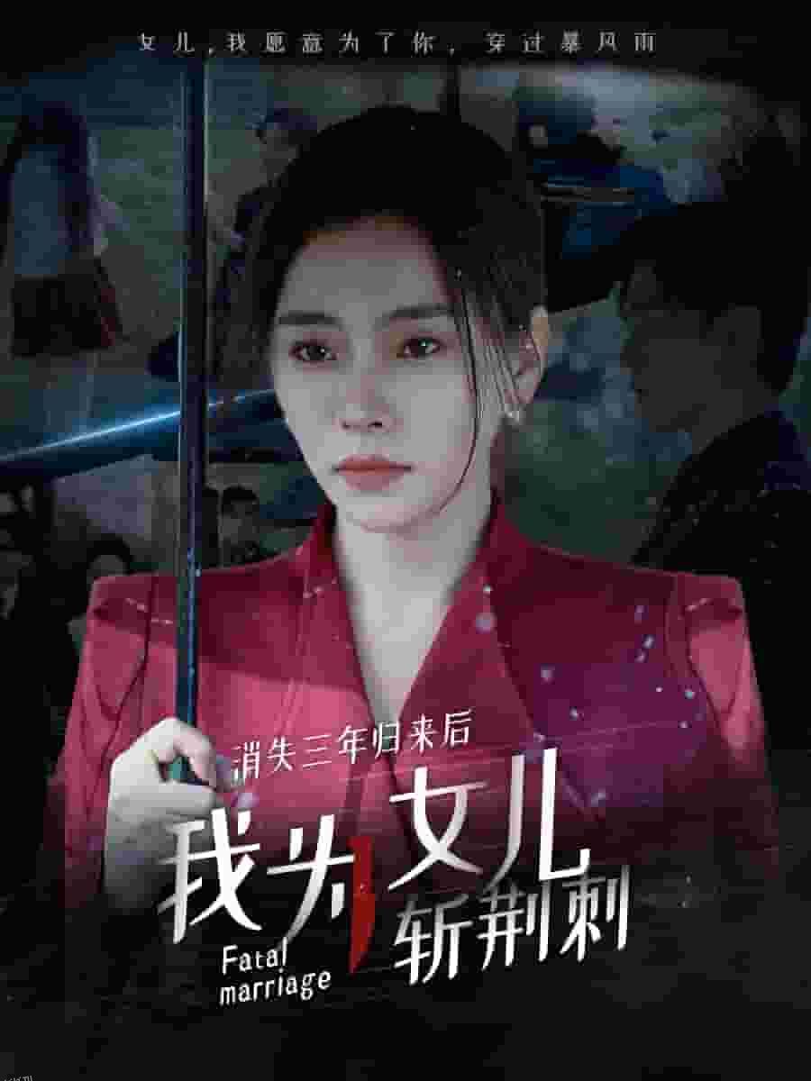 消失三年归来后我为女儿斩荆刺 海报