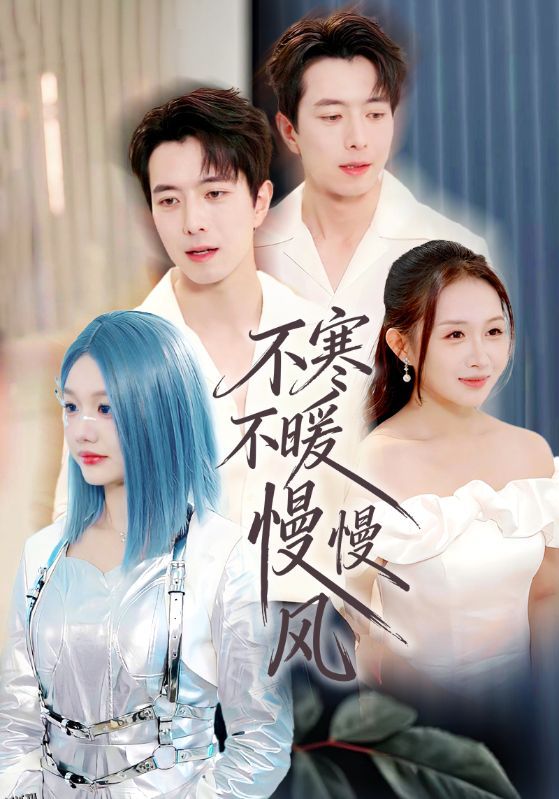 不寒不暖慢慢风 海报