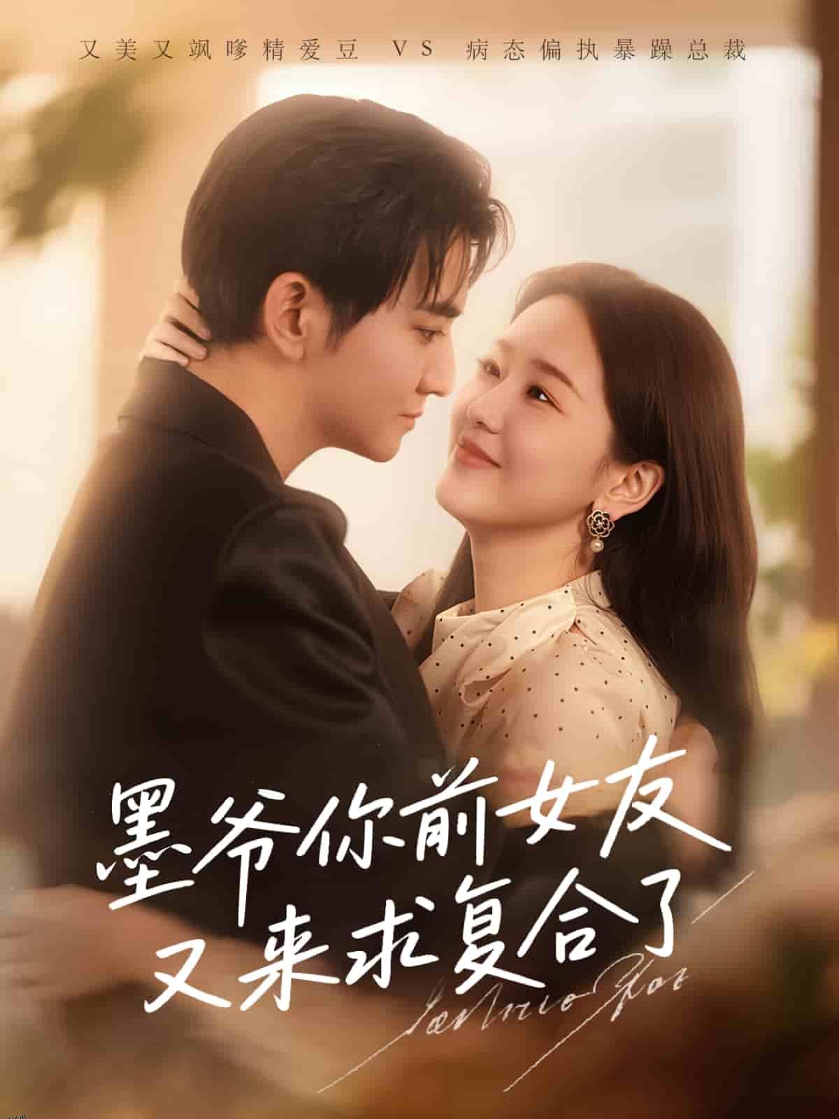 墨爷你前女友又来求复合了 海报