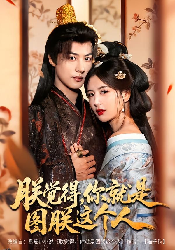 朕觉得，你就是图朕这个人 海报