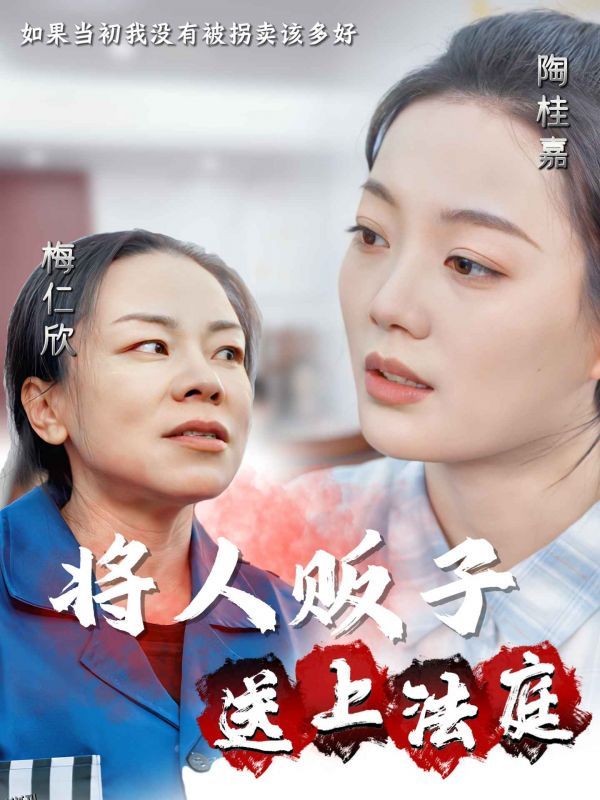 将人贩子送上法庭 高清海报