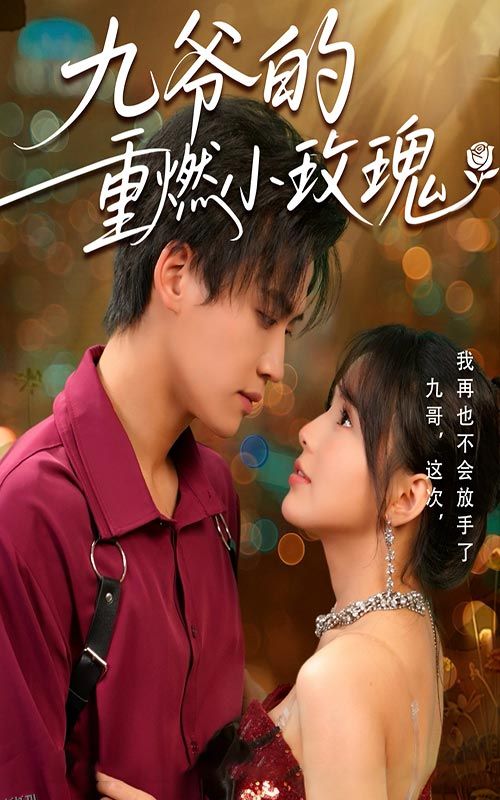 九爷的重燃小玫瑰 海报
