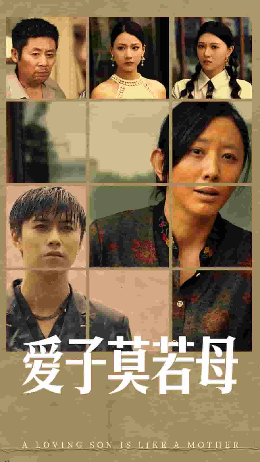 爱子莫若母 海报