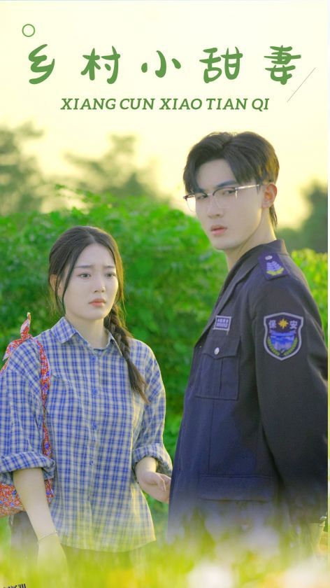 乡村小甜妻 海报