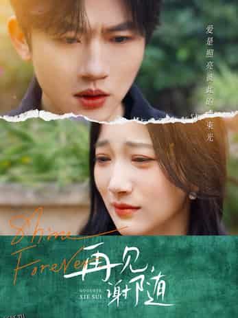 再见谢随 高清海报