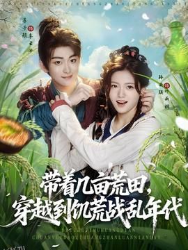 带着几亩荒田穿越到饥荒战乱年代 海报