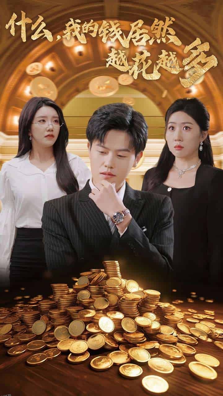 什么我的钱居然越花越多 海报