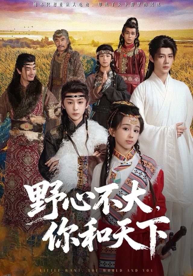 野心不大，你和天下 海报