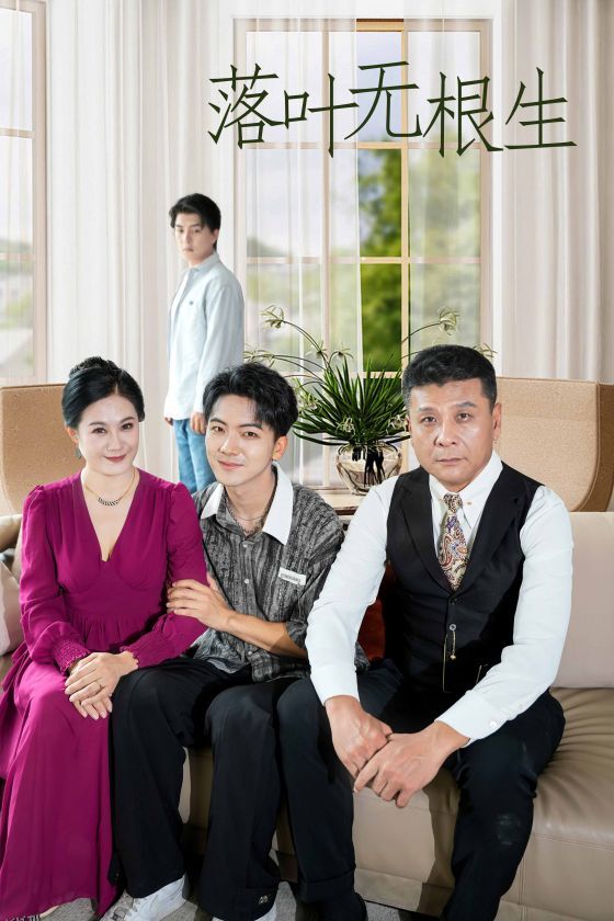 落叶无根生 海报
