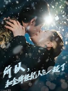 所以和金牌经纪人在一起了 海报