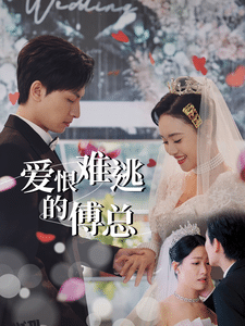 爱恨难逃的傅总 海报