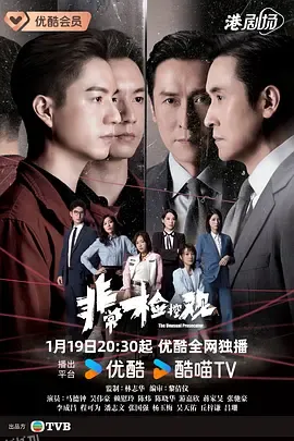 非常检控观国语版 海报