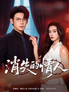 消失的情人 海报