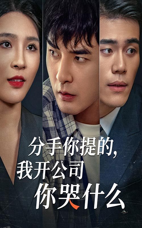 分手你提的，我开公司你哭什么 海报