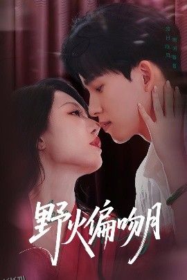 野火偏吻月 海报
