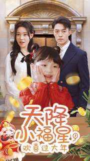 天降小福星，欢喜过大年 海报