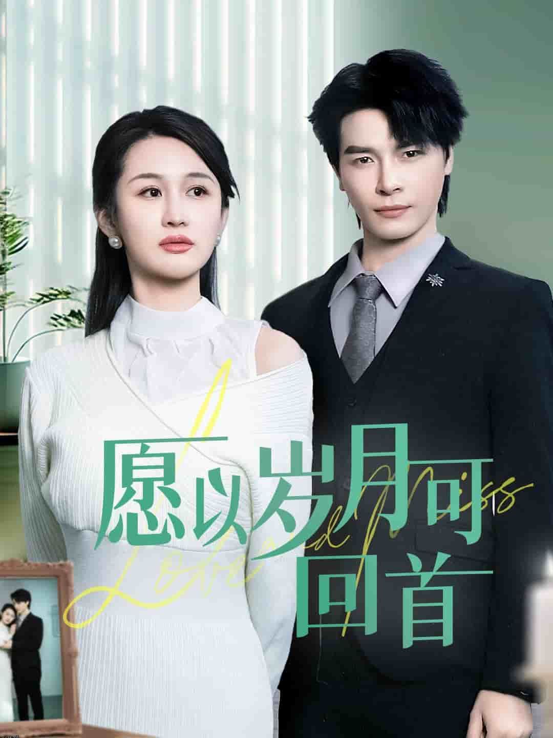 愿以岁月可回首 海报