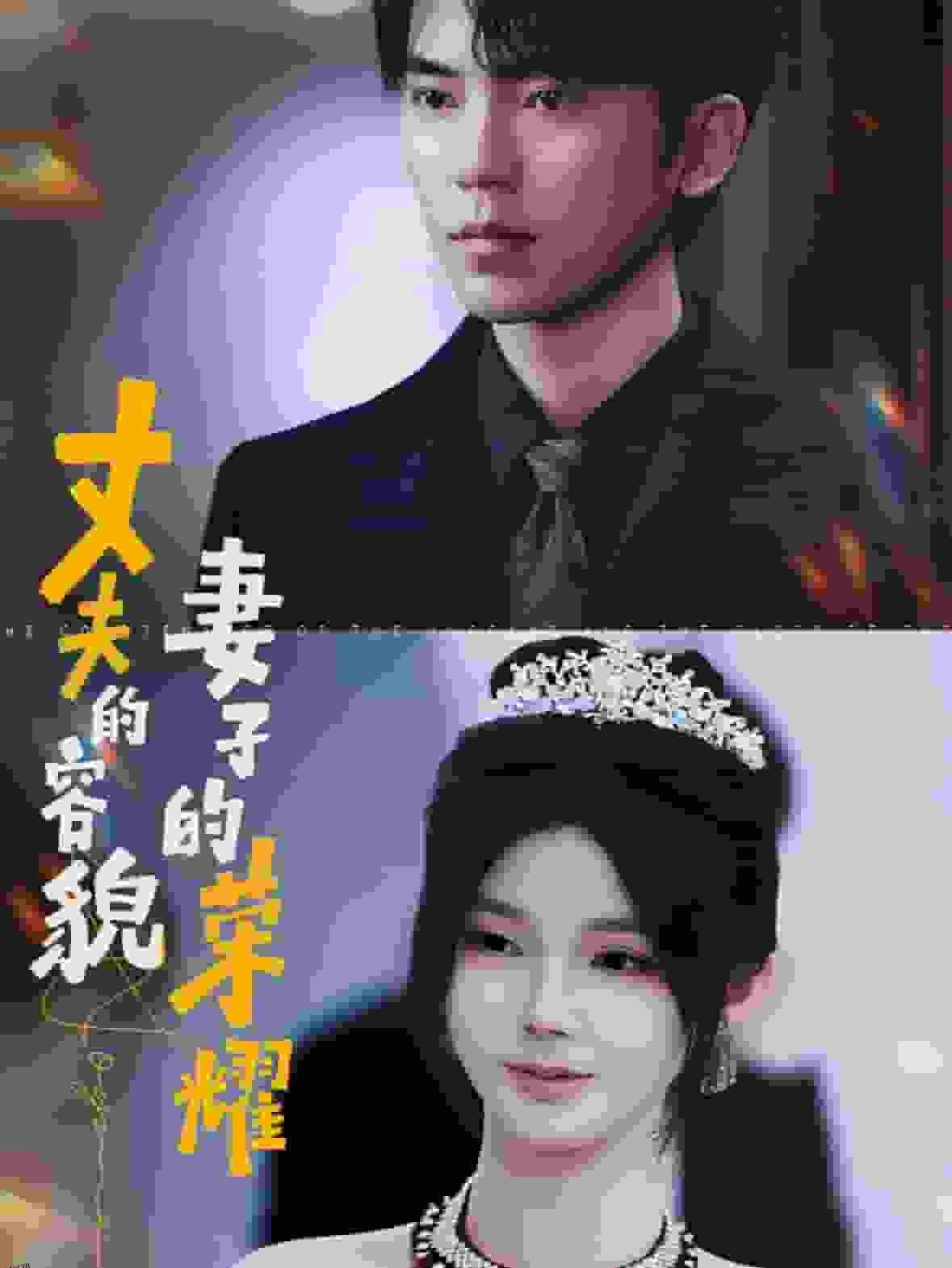 丈夫的容貌妻子的荣耀 海报