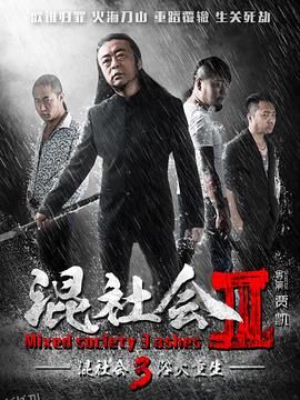 浴火重生2016 海报