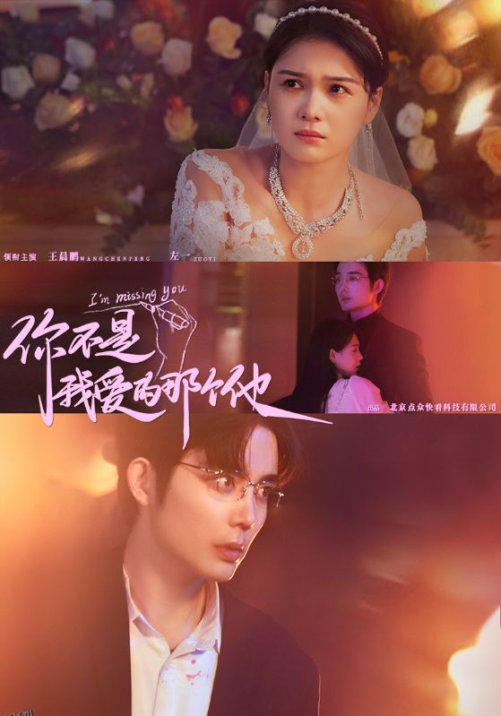 你不是我爱的那个他 高清海报