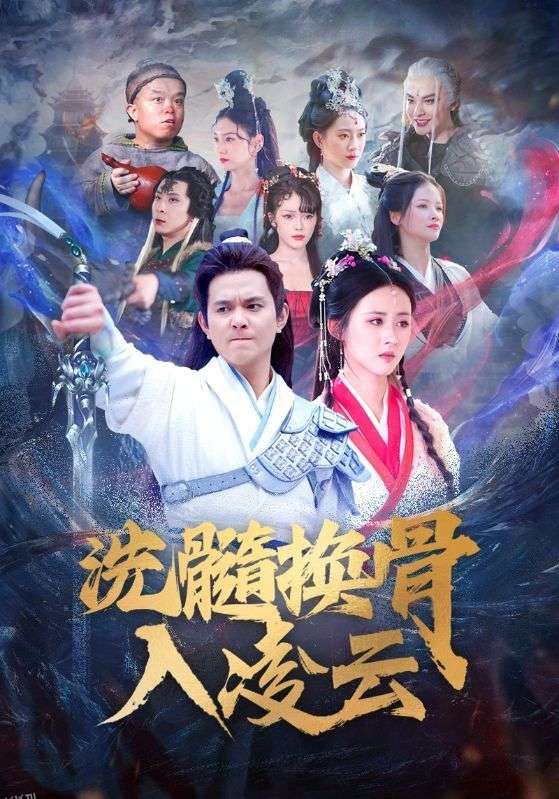 洗髓换骨入凌云 海报