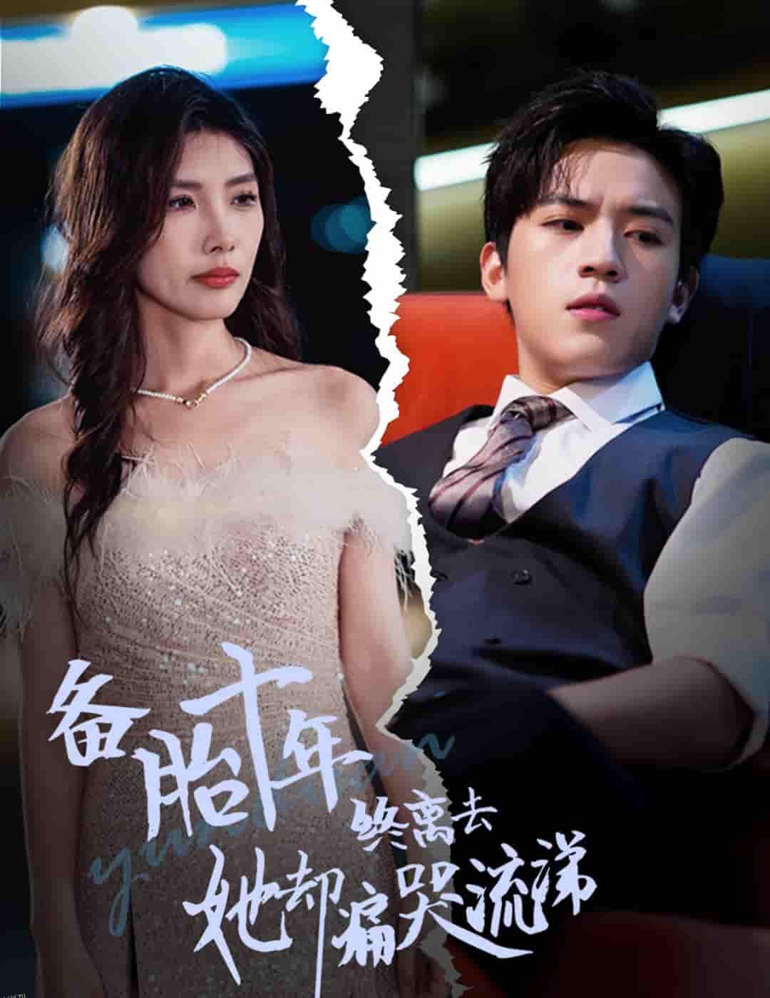 备胎十年终离去她却痛哭流涕 海报